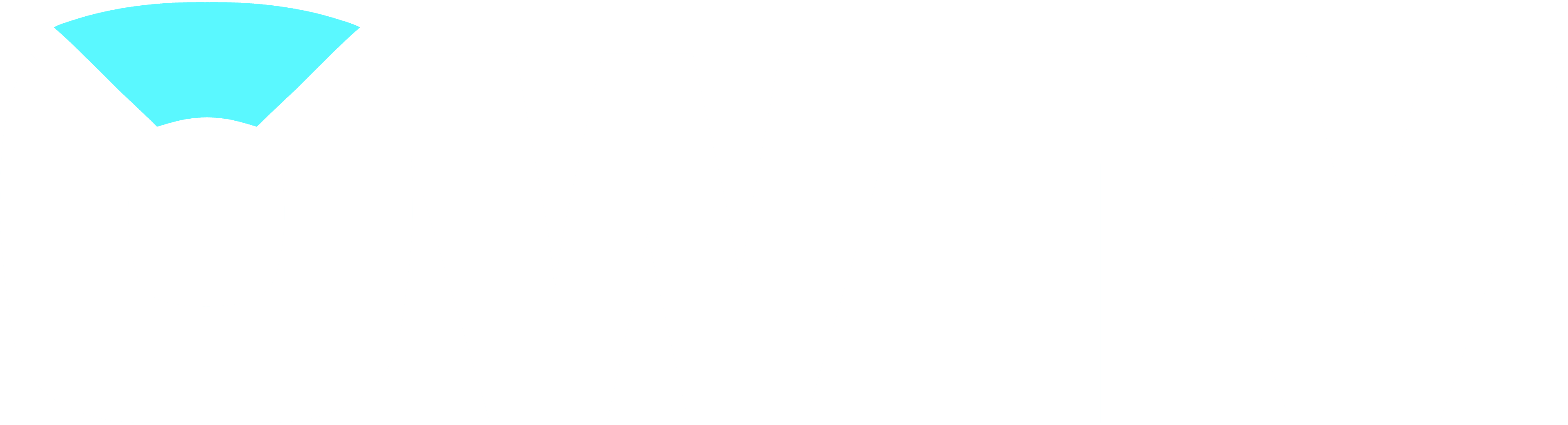 Logo Name