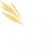 99DIVINE logo