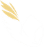 99DIVINE