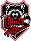 Crazy Raccoon