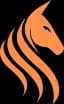 Team Stallions