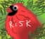 Team Risk