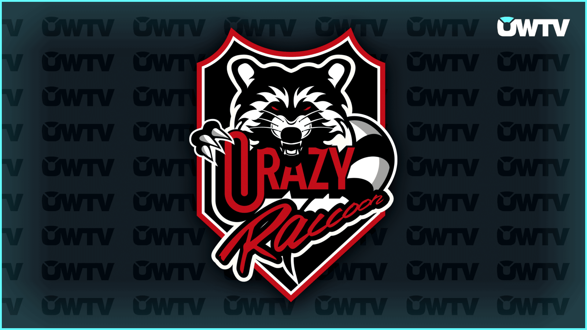 OWTV Crazy Raccoon logo